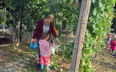 OBIČAJI KAPELE IN OKOLICE,  NAS ZNOVA POVEZUJEJO – »BROTVA«