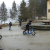 sola_v_naravi_155